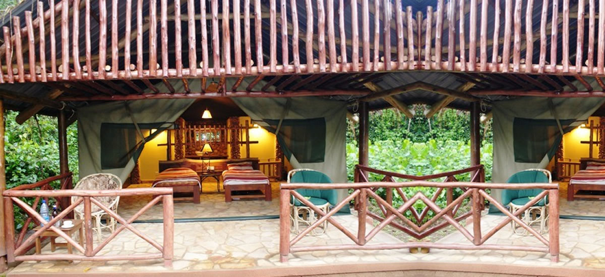 Kibale Forest Camp Kibale Forest Camp