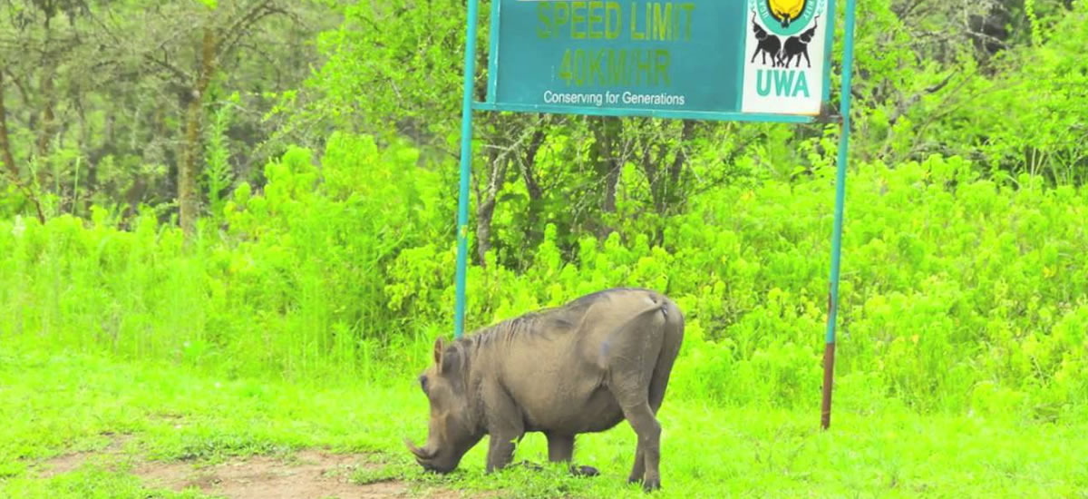Mburo Safari Lodge Mburo Safari Lodge