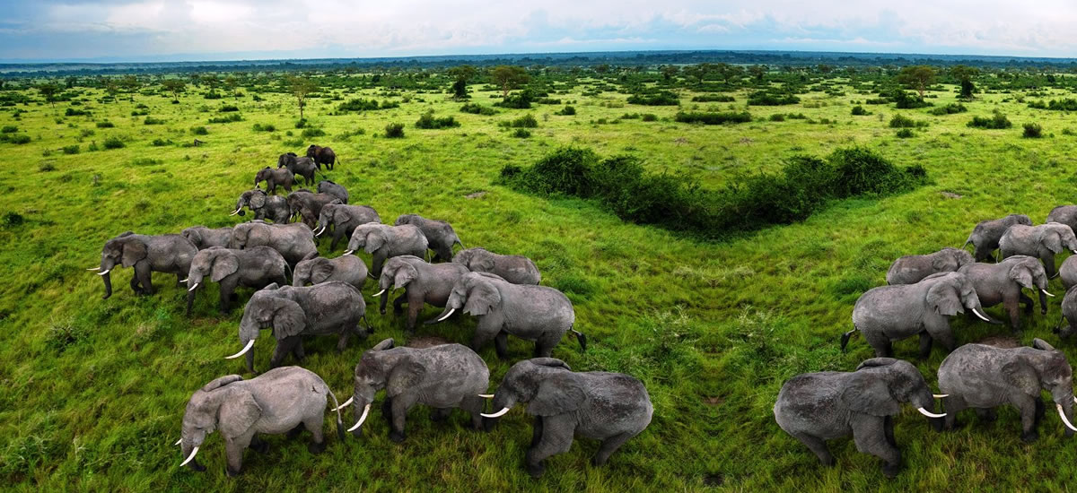 Queen Elizabeth National Park Queen Elizabeth National Park